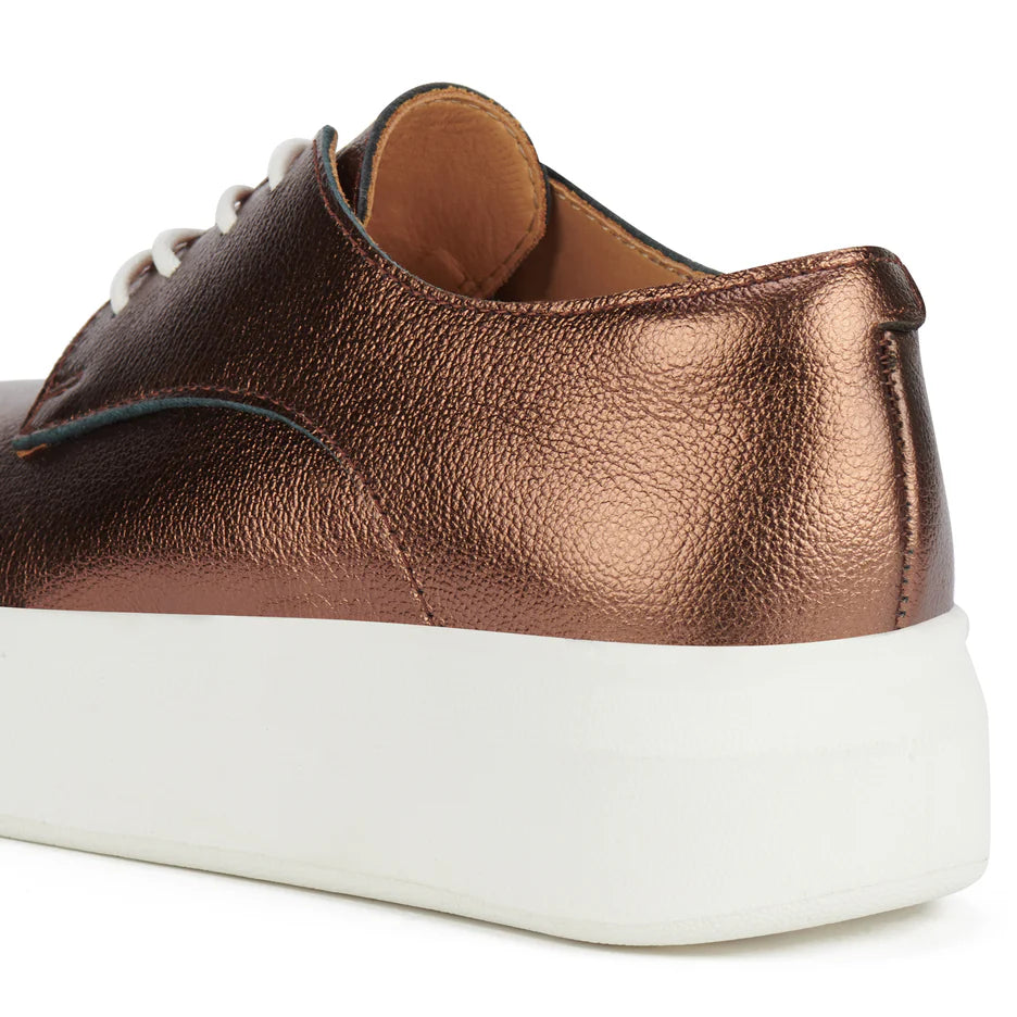 Rollie Derby City in Bronze - the tartan fox