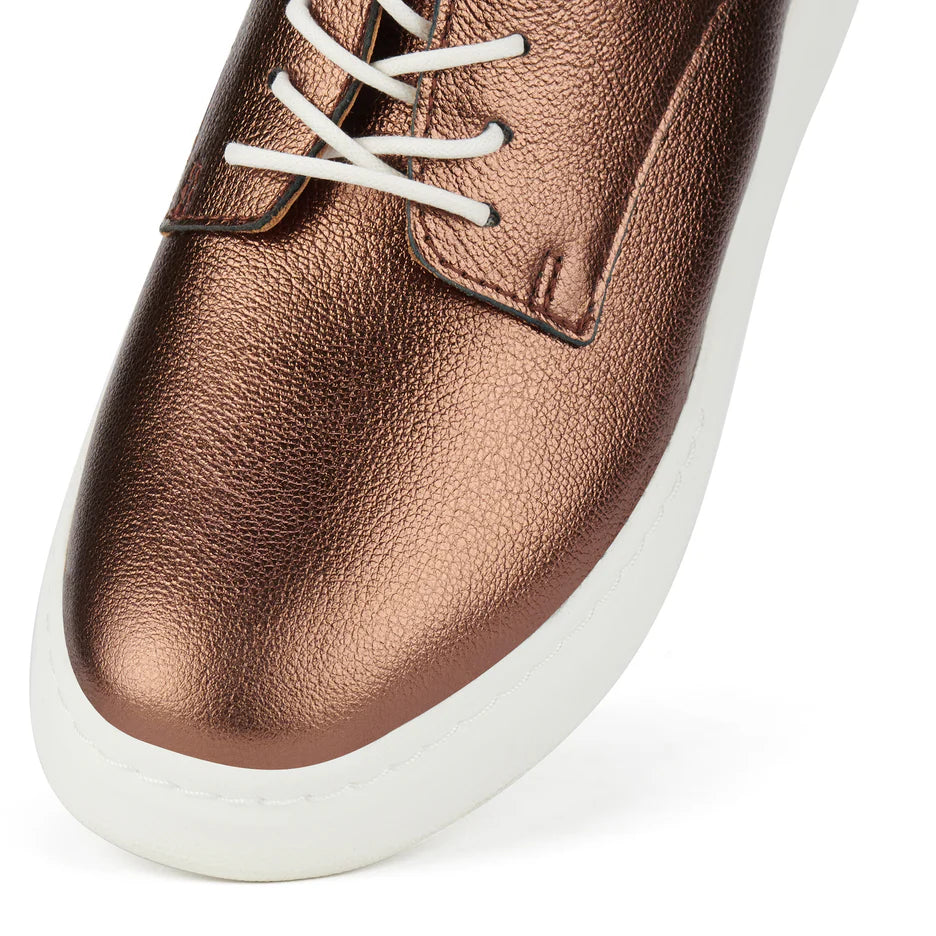 Rollie Derby City in Bronze - the tartan fox