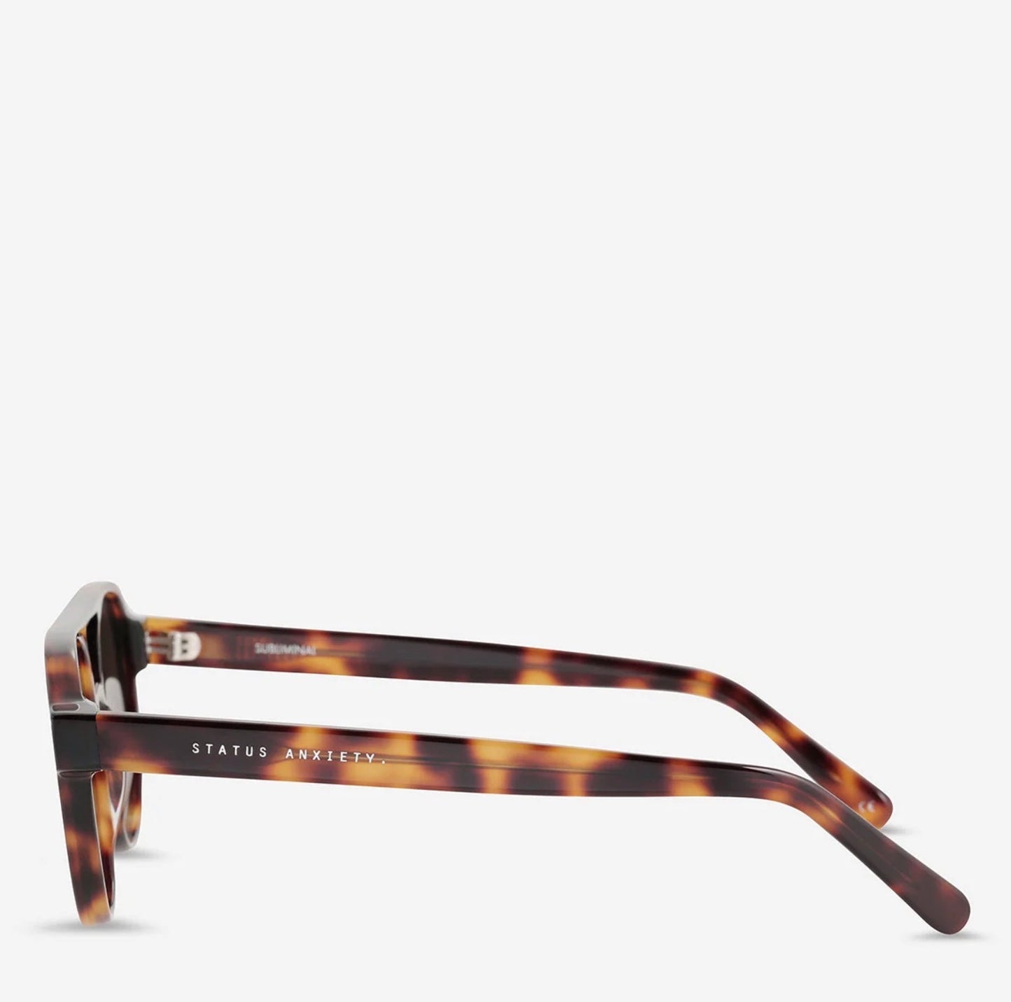 Status Anxiety Subliminal Sunglasses