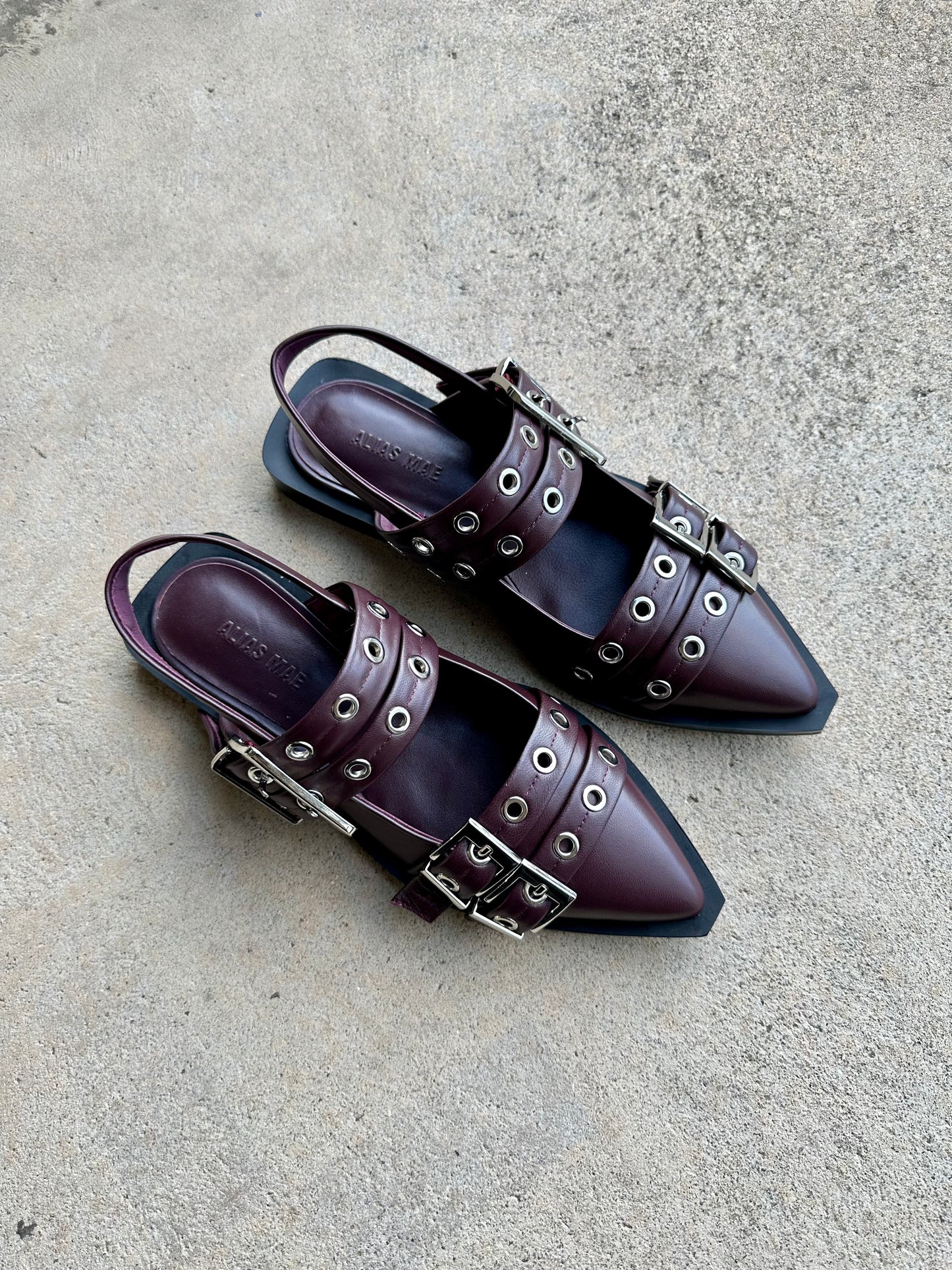 Alias Mae Zina Buckle Flats in Burgandy Leather