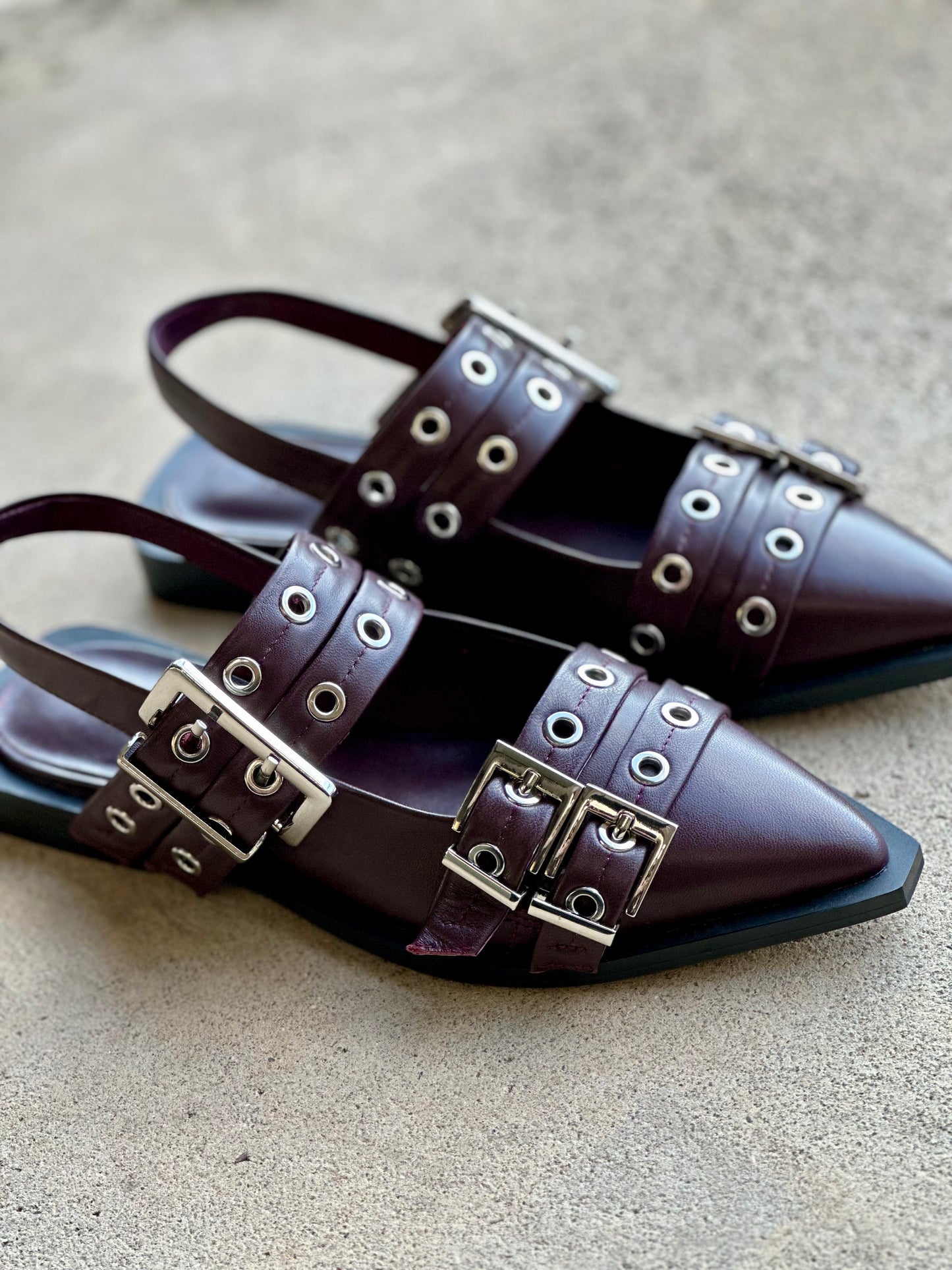 Alias Mae Zina Buckle Flats in Burgandy Leather