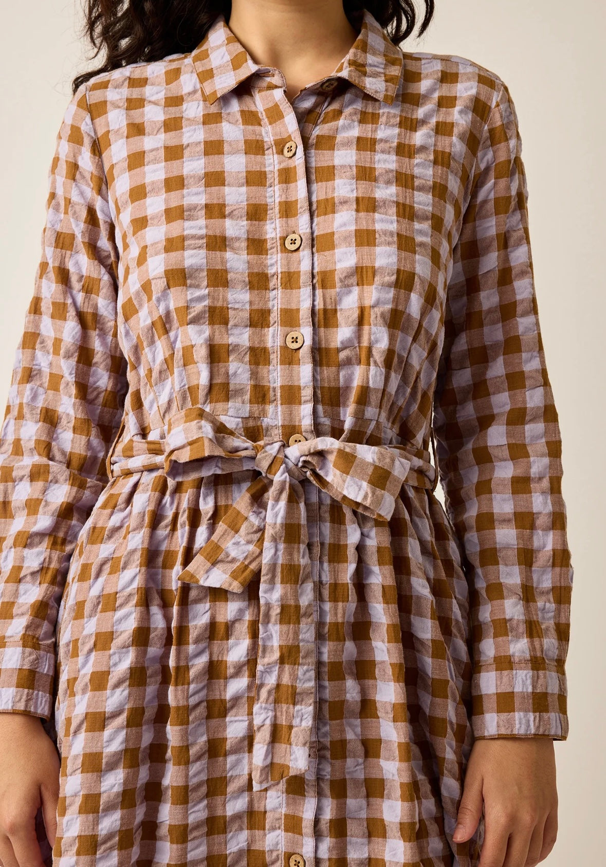 Nancybird Daze Shirt Dress in Autumn Check