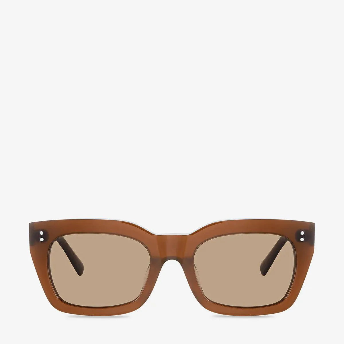 Status Anxiety Antagonist Sunglasses - the tartan fox