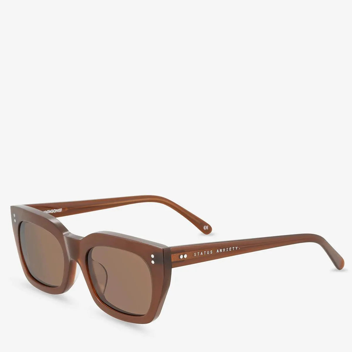 Status Anxiety Antagonist Sunglasses - the tartan fox