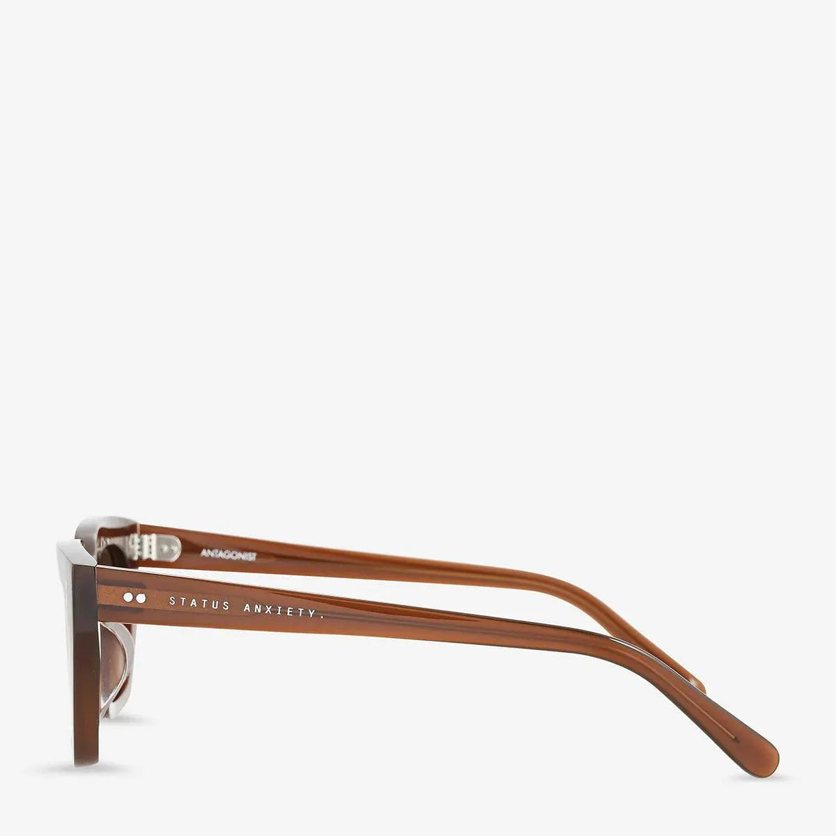 Status Anxiety Antagonist Sunglasses - the tartan fox