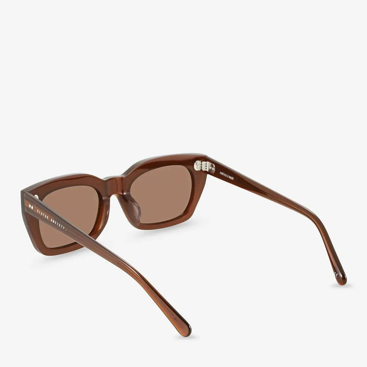 Status Anxiety Antagonist Sunglasses - the tartan fox